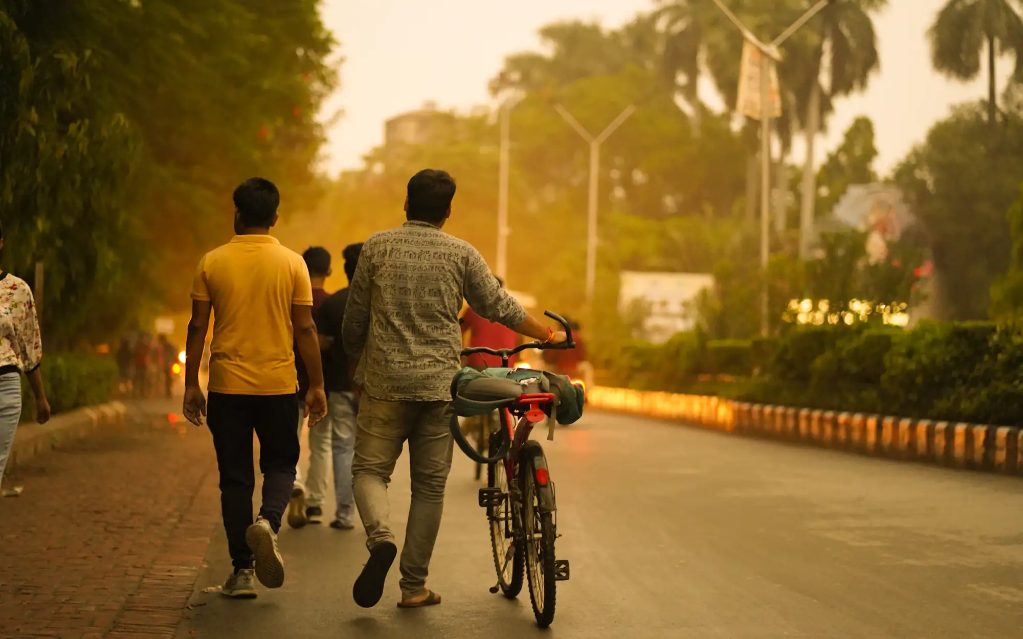 Students walking a tree-lined campus road in late afternoon light