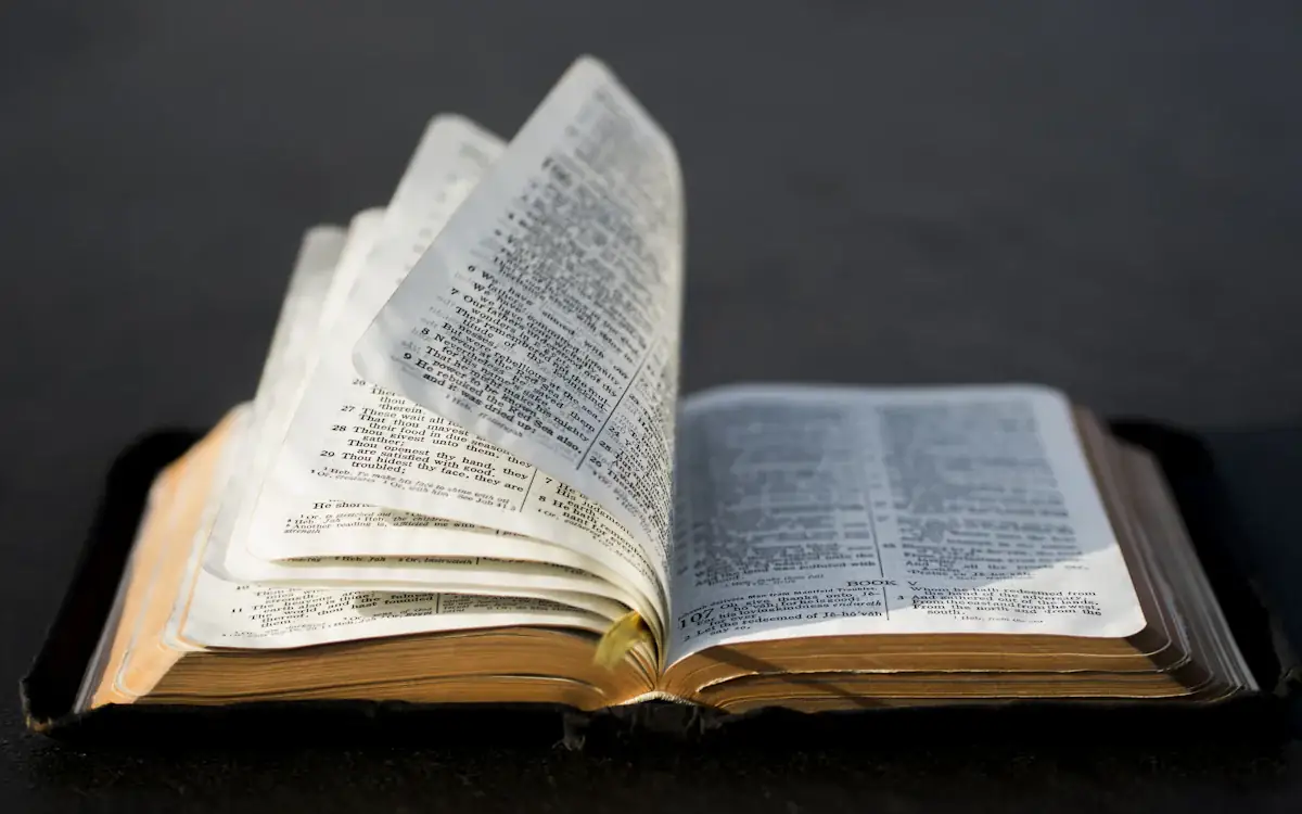 An open reference book, pages fanned