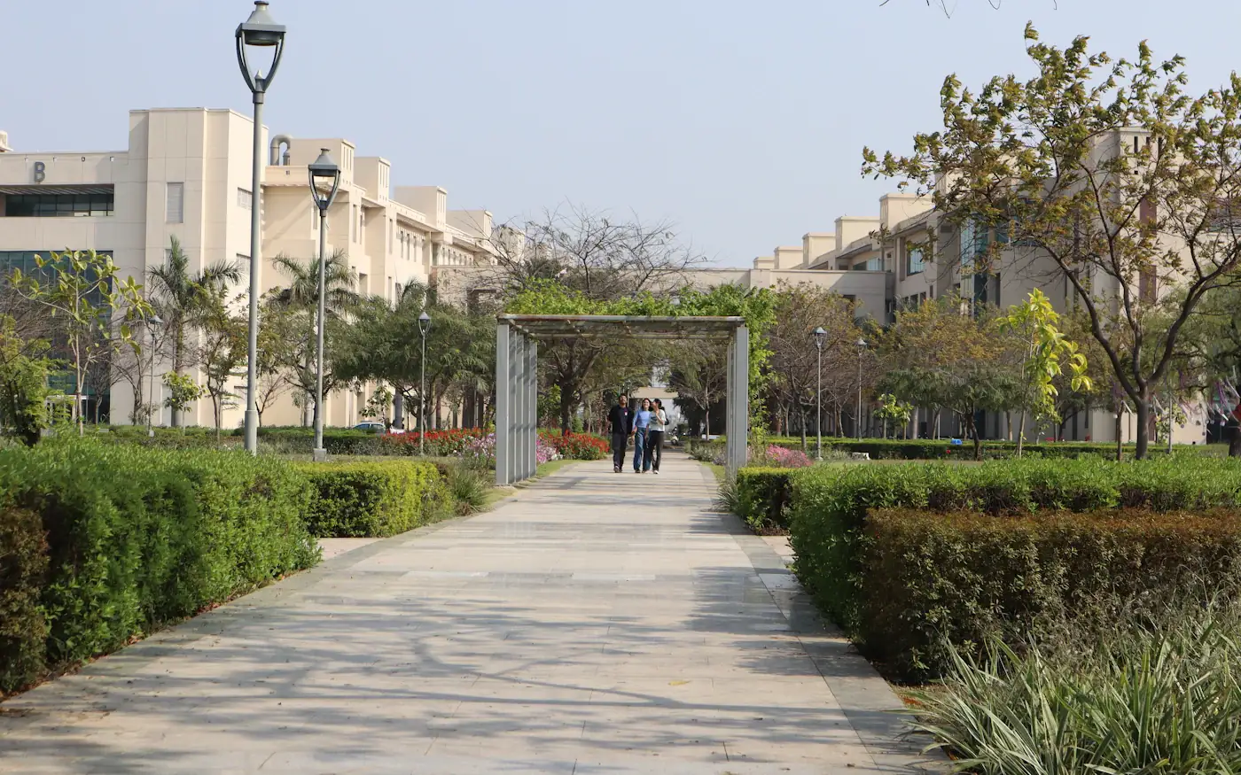 A landscaped campus walkway
